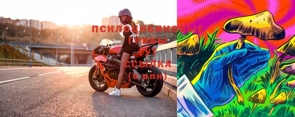 гидропоника Абаза