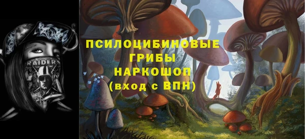 гидропоника Абаза