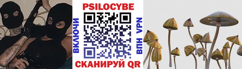 Псилоцибиновые грибы мухоморы  продажа наркотиков  мега зеркало  Тулун 